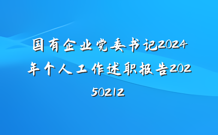 国有企业党委书记2024年个人工作述职报告20250212