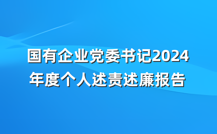 国有企业党委书记2024年度个人述责述廉报告