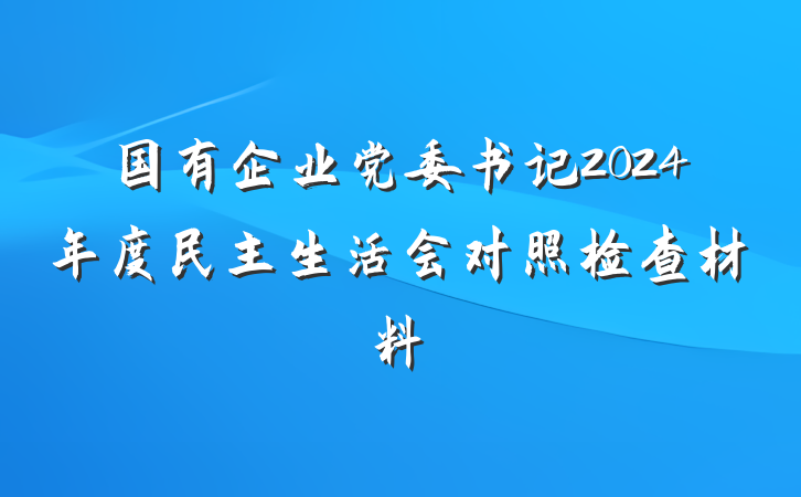 国有企业党委书记2024年度民主生活会对照检查材料