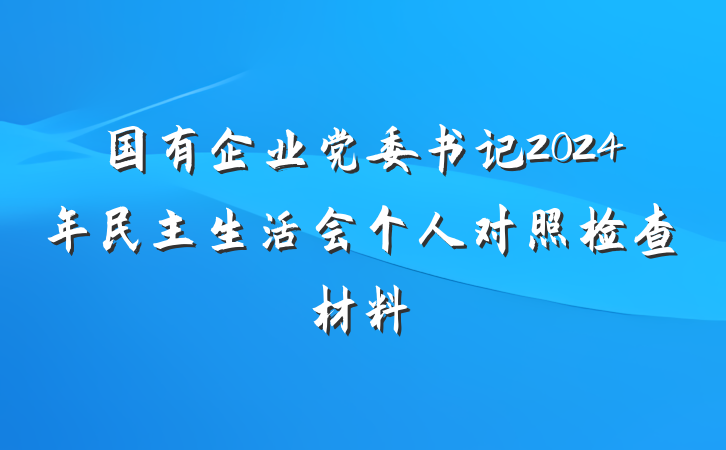 国有企业党委书记2024年民主生活会个人对照检查材料