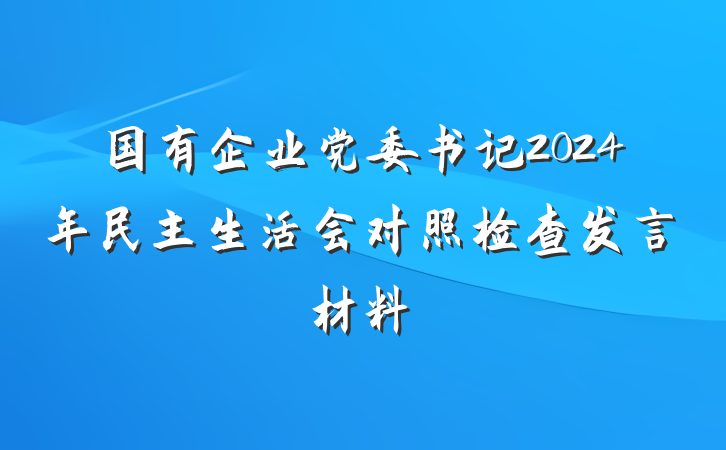 国有企业党委书记2024年民主生活会对照检查发言材料