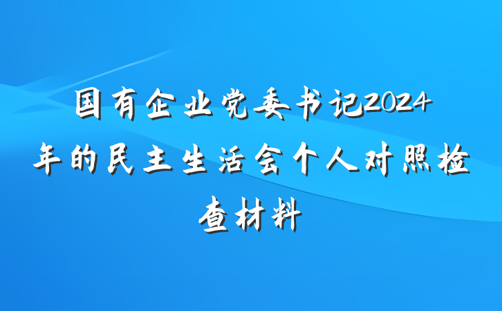 国有企业党委书记2024年的民主生活会个人对照检查材料