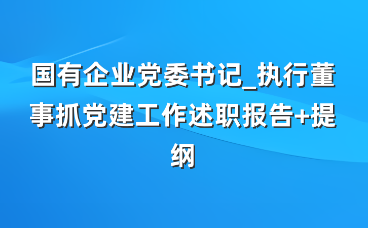 国有企业党委书记_执行董事抓党建工作述职报告 提纲