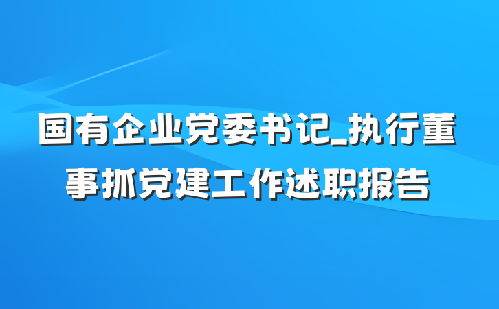 国有企业党委书记_执行董事抓党建工作述职报告