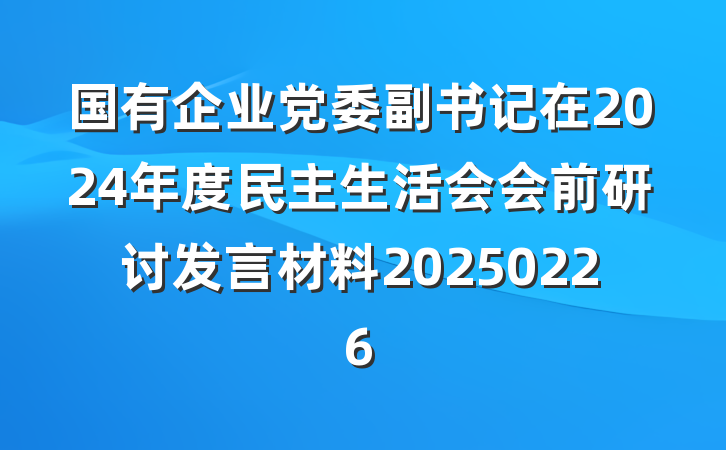 国有企业党委副书记在2024年度民主生活会会前研讨发言材料20250226