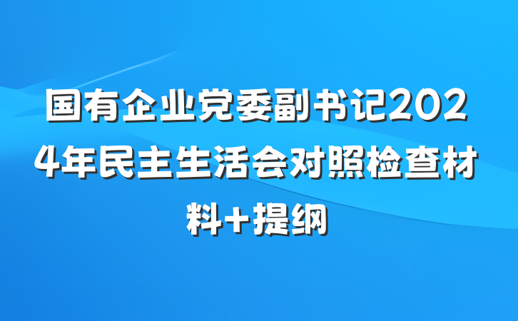 国有企业党委副书记2024年民主生活会对照检查材料 提纲