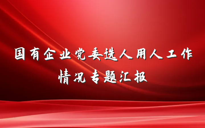 国有企业党委选人用人工作情况专题汇报