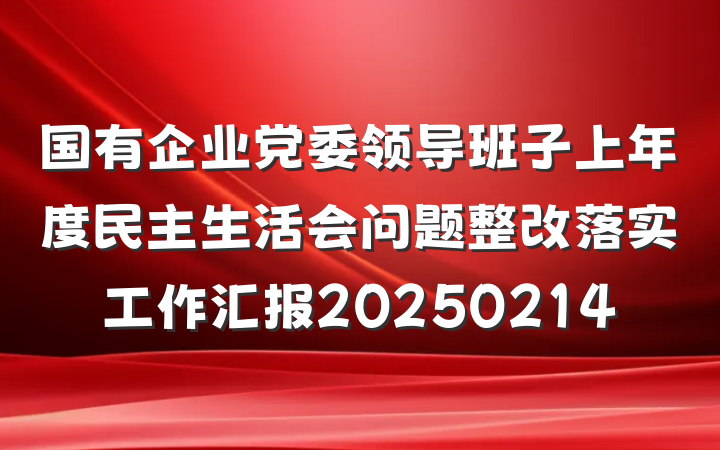 国有企业党委领导班子上年度民主生活会问题整改落实工作汇报20250214
