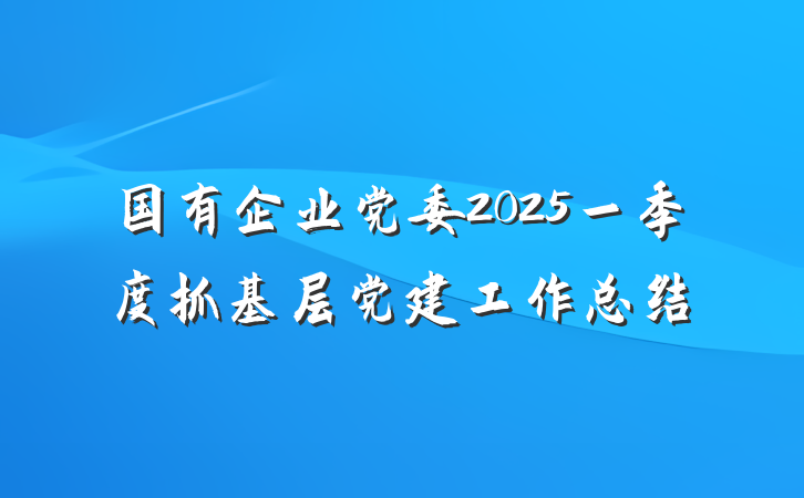 国有企业党委2025一季度抓基层党建工作总结