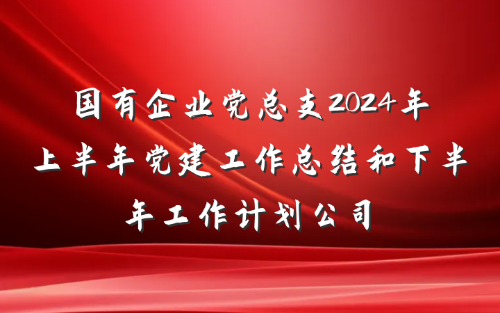 国有企业党总支2024年上半年党建工作总结和下半年工作计划公司