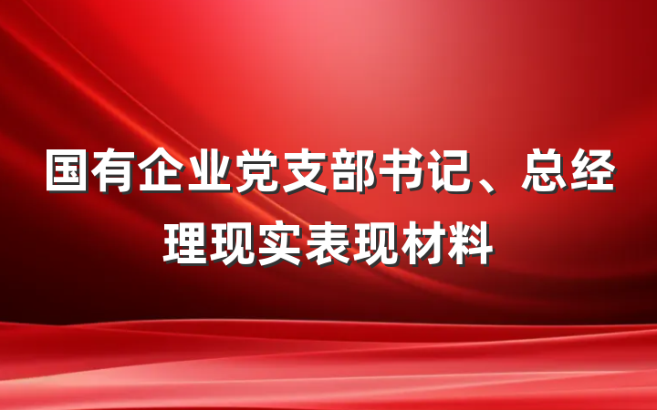 国有企业党支部书记、总经理现实表现材料