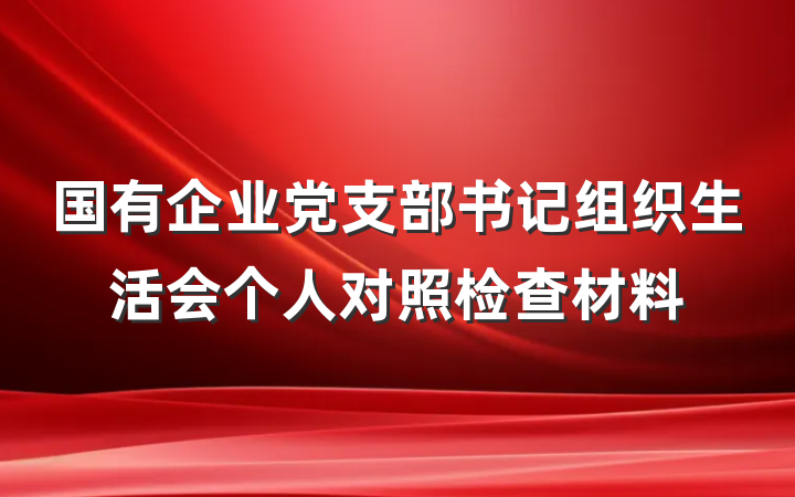 国有企业党支部书记组织生活会个人对照检查材料
