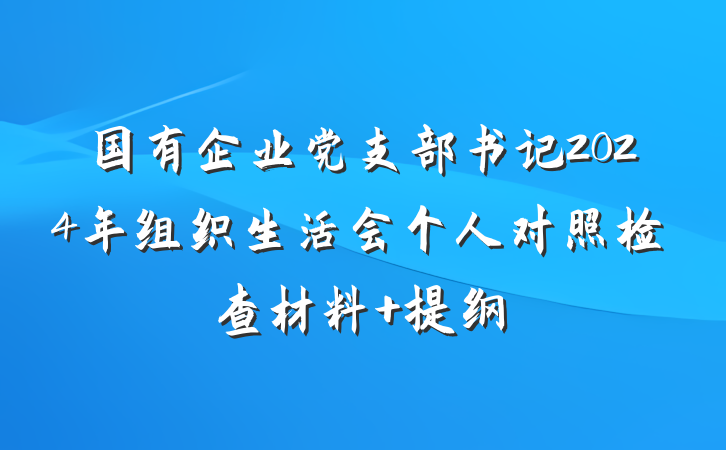 国有企业党支部书记2024年组织生活会个人对照检查材料 提纲