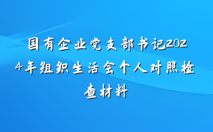 国有企业党支部书记2024年组织生活会个人对照检查材料