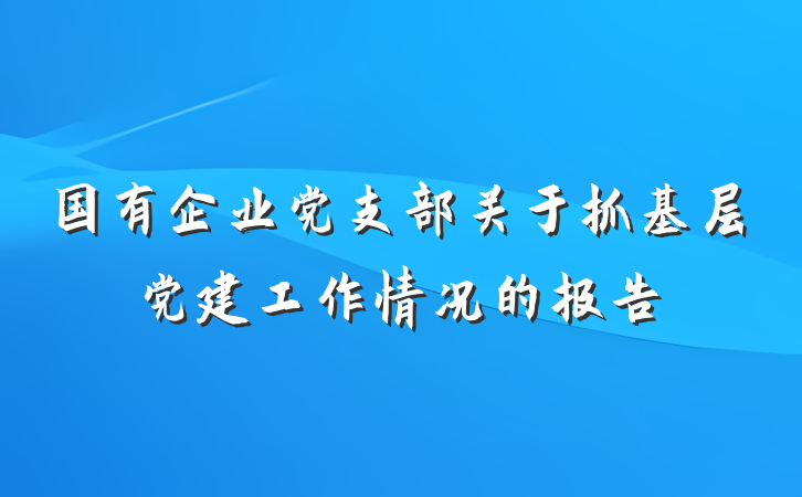 国有企业党支部关于抓基层党建工作情况的报告