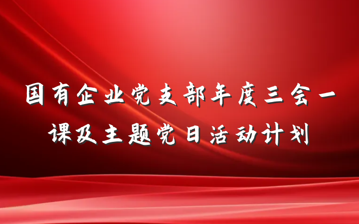 国有企业党支部年度三会一课及主题党日活动计划