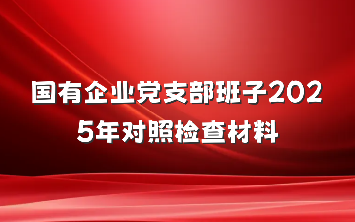 国有企业党支部班子2025年对照检查材料