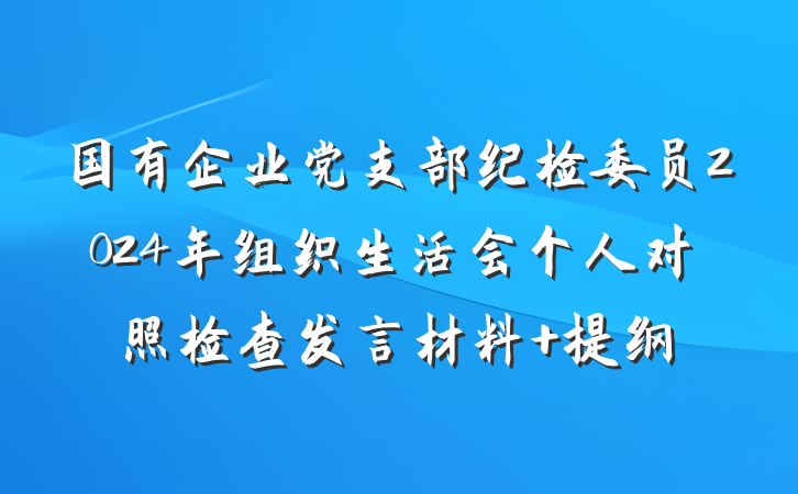 国有企业党支部纪检委员2024年组织生活会个人对照检查发言材料 提纲