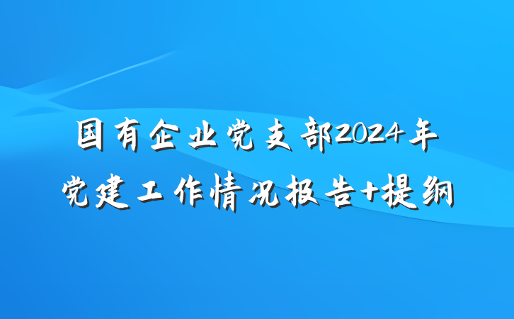 国有企业党支部2024年党建工作情况报告 提纲