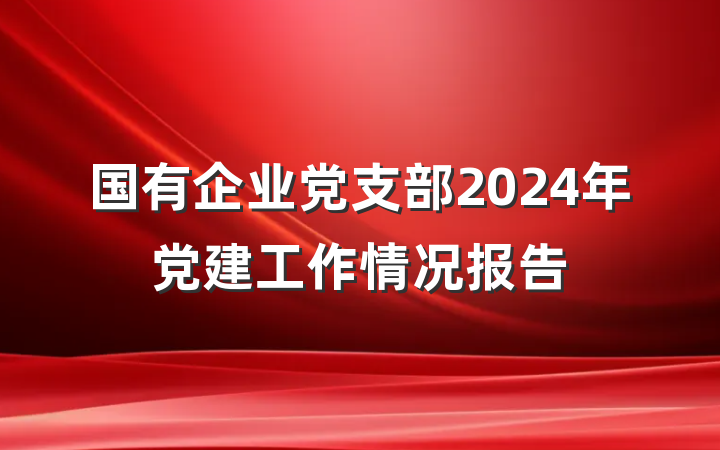 国有企业党支部2024年党建工作情况报告