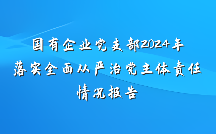国有企业党支部2024年落实全面从严治党主体责任情况报告