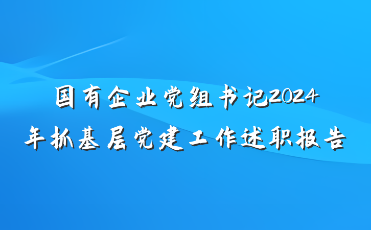 国有企业党组书记2024年抓基层党建工作述职报告