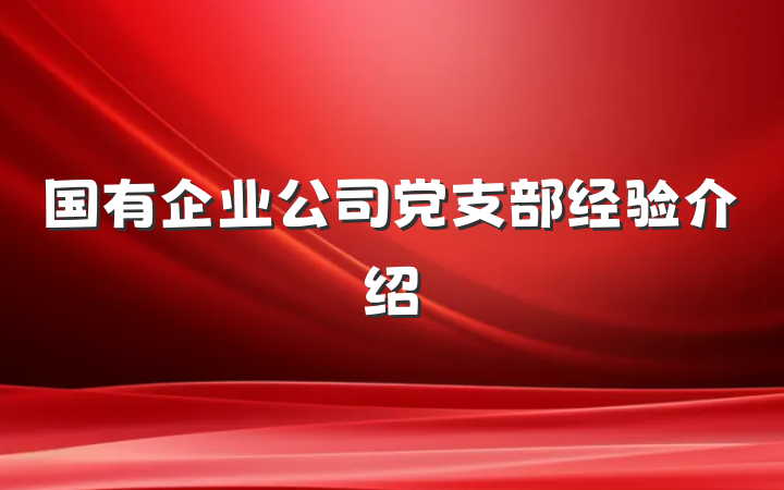 国有企业公司党支部经验介绍