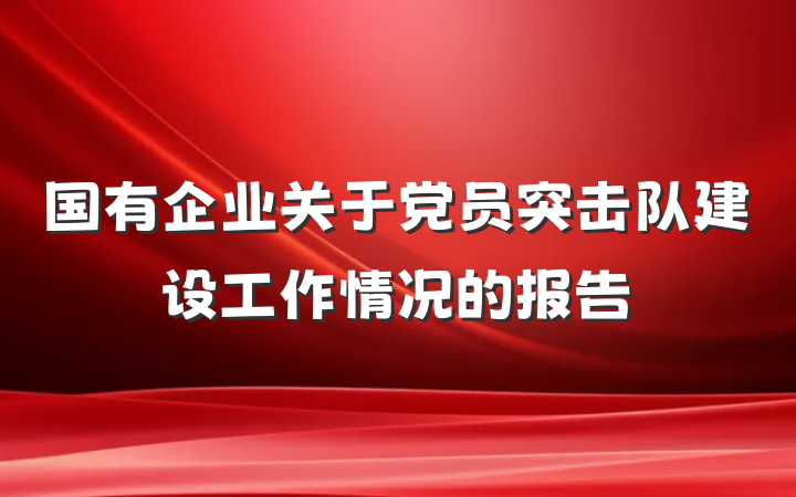 国有企业关于党员突击队建设工作情况的报告