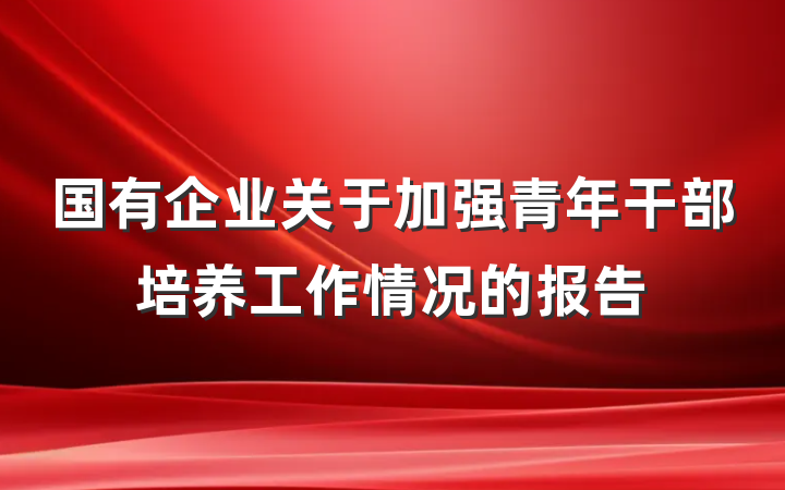 国有企业关于加强青年干部培养工作情况的报告