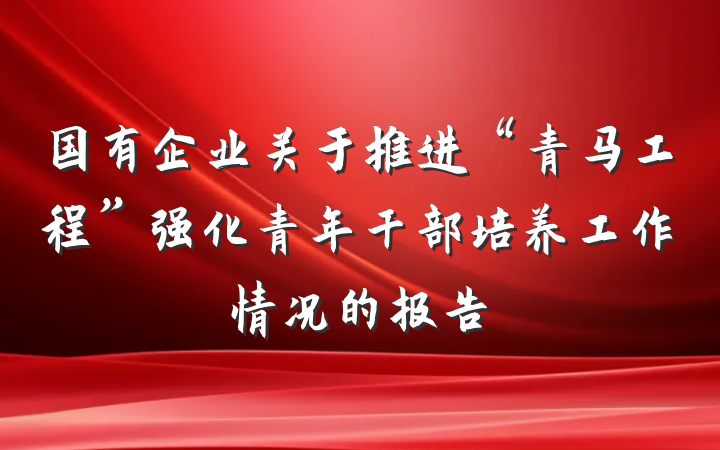 国有企业关于推进“青马工程”强化青年干部培养工作情况的报告