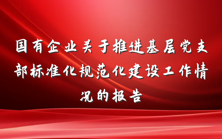 国有企业关于推进基层党支部标准化规范化建设工作情况的报告