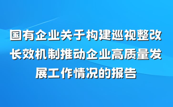 国有企业关于构建巡视整改长效机制推动企业高质量发展工作情况的报告