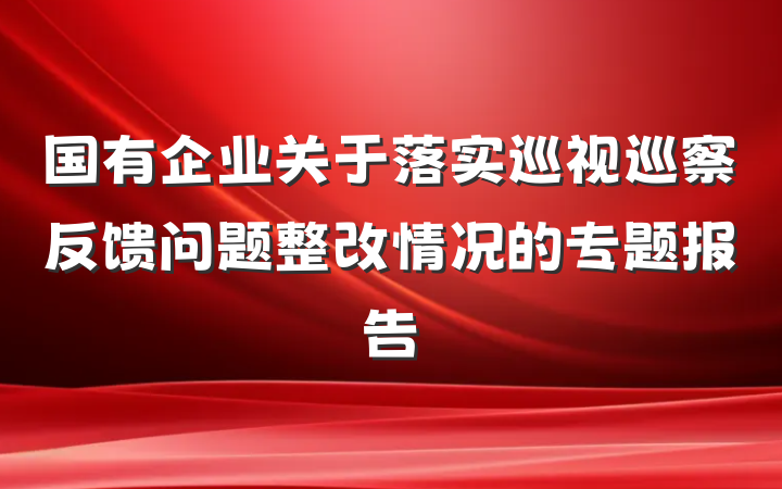 国有企业关于落实巡视巡察反馈问题整改情况的专题报告