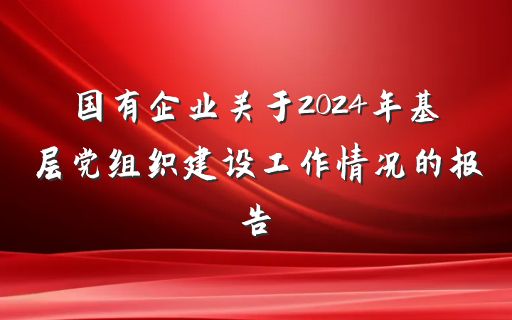 国有企业关于2024年基层党组织建设工作情况的报告