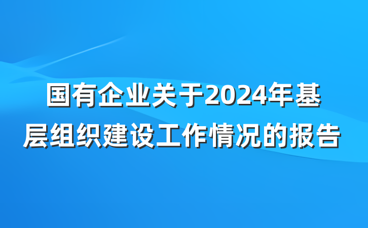 国有企业关于2024年基层组织建设工作情况的报告