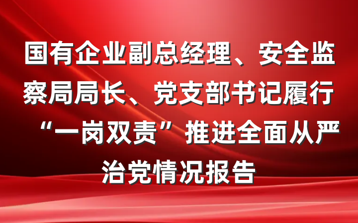 国有企业副总经理、安全监察局局长、党支部书记履行“一岗双责”推进全面从严治党情况报告