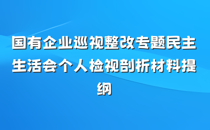 国有企业巡视整改专题民主生活会个人检视剖析材料提纲
