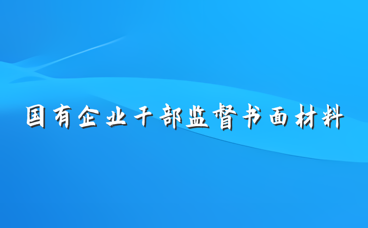 国有企业干部监督书面材料