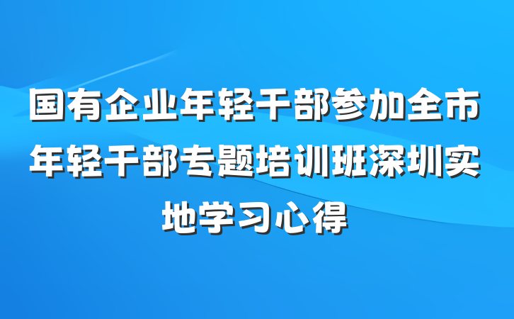 国有企业年轻干部参加全市年轻干部专题培训班深圳实地学习心得