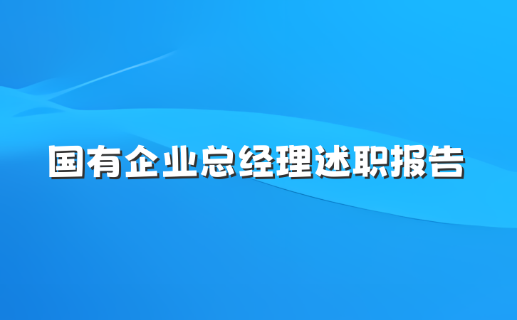 国有企业总经理述职报告