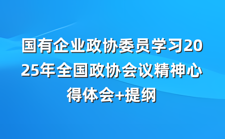 国有企业政协委员学习2025年全国政协会议精神心得体会 提纲