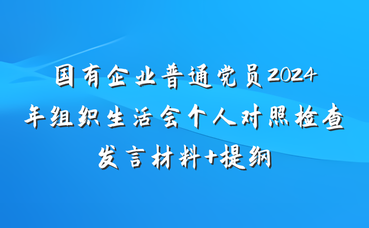 国有企业普通党员2024年组织生活会个人对照检查发言材料 提纲