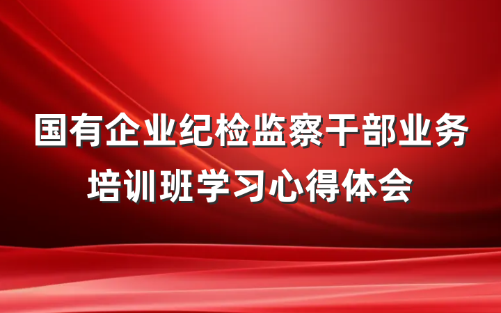 国有企业纪检监察干部业务培训班学习心得体会