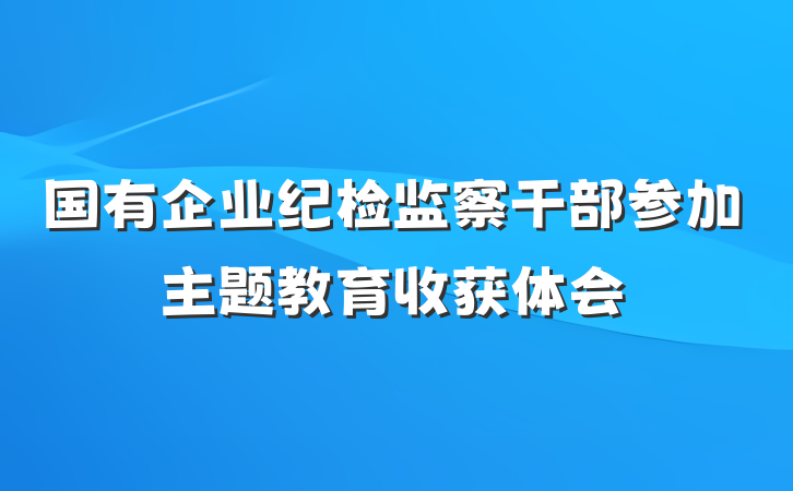 国有企业纪检监察干部参加主题教育收获体会