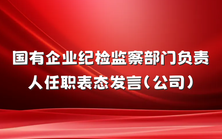 国有企业纪检监察部门负责人任职表态发言（公司）