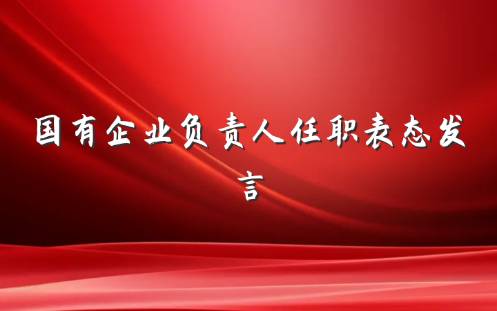 国有企业负责人任职表态发言