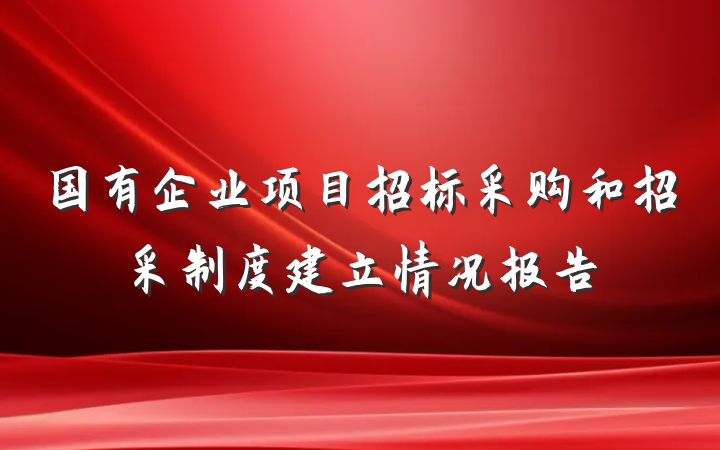 国有企业项目招标采购和招采制度建立情况报告
