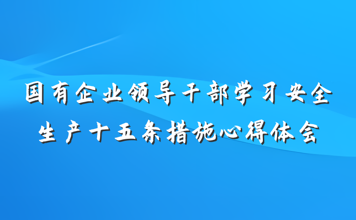 国有企业领导干部学习安全生产十五条措施心得体会