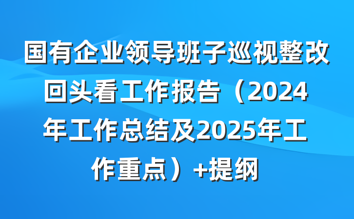 国有企业领导班子巡视整改回头看工作报告（2024年工作总结及2025年工作重点） 提纲