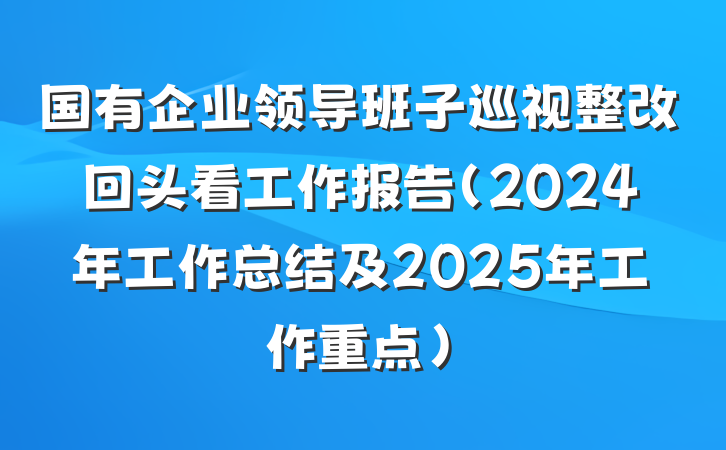 国有企业领导班子巡视整改回头看工作报告（2024年工作总结及2025年工作重点）